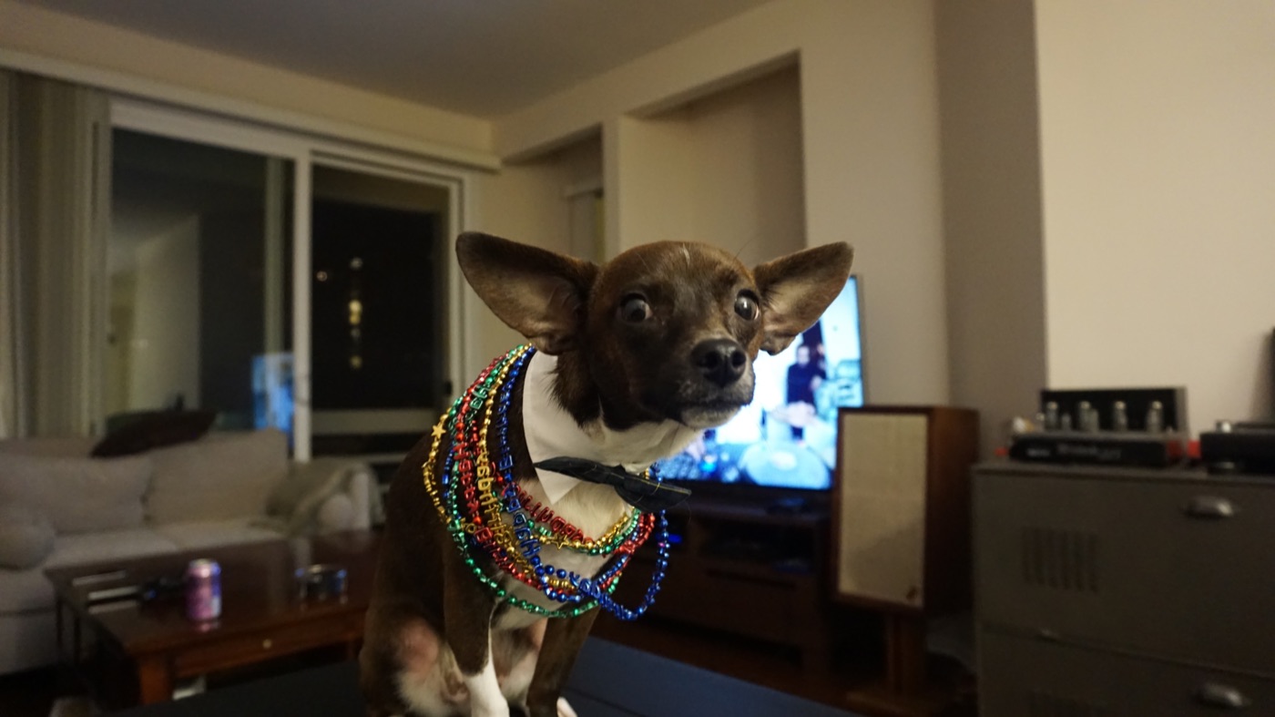 Quas wearing a bow tie and colorful birthday necklaces